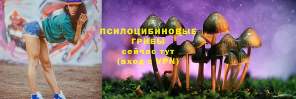 ПСИЛОЦИБИНОВЫЕ ГРИБЫ Медногорск