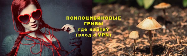 бошки Белокуриха