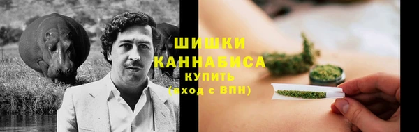 ПСИЛОЦИБИНОВЫЕ ГРИБЫ Медногорск