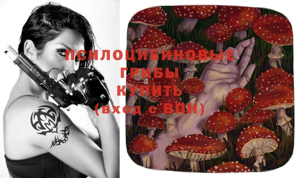 не бодяженный Беломорск