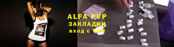 ПСИЛОЦИБИНОВЫЕ ГРИБЫ Медногорск