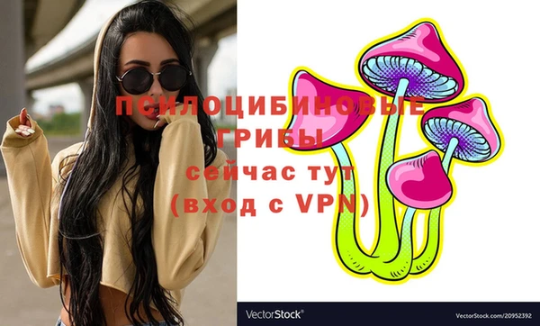 винт Медвежьегорск