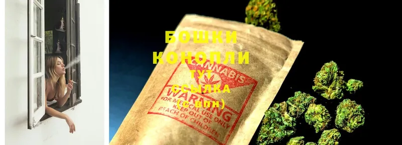 МАРИХУАНА OG Kush  где купить наркоту  MEGA ссылка  Болотное 